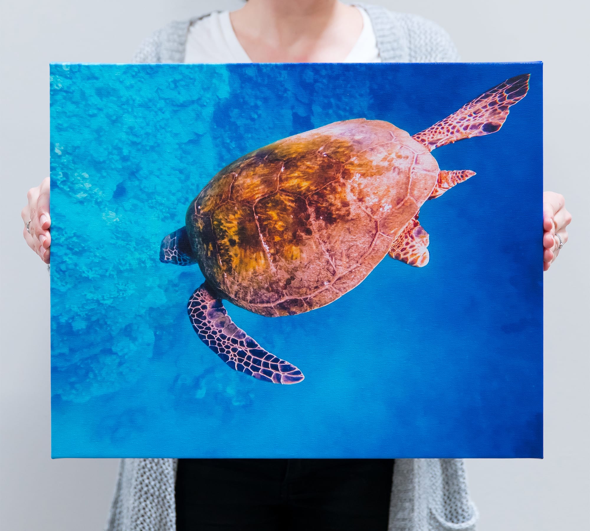 woman holding a canvas print of a turtle in the ocean